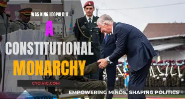 Leopold II: A Constitutional Monarchy in Question