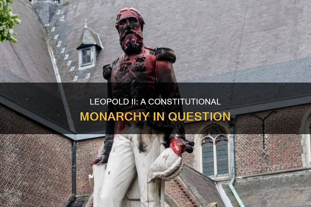was king leopold ii a constitutional monarchy