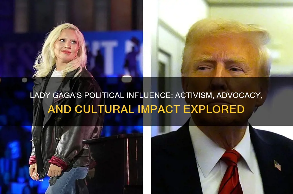 was lady gaga political