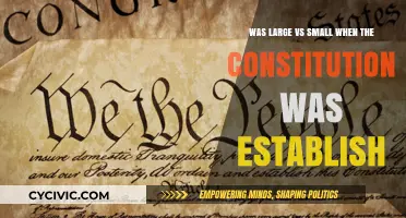 Big vs Small: The Constitution's Founding Debate