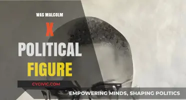 Malcolm X: Revolutionary Leader or Misunderstood Political Figure?