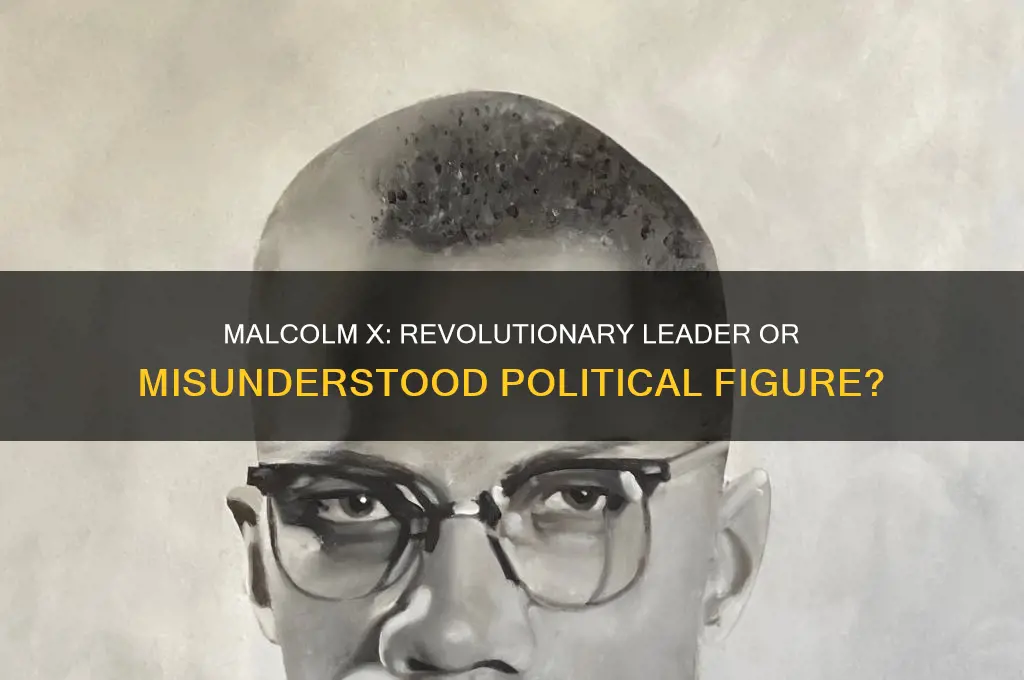 was malcolm x political figure