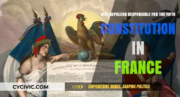 Napoleon's Hand in France's Fifth Constitution