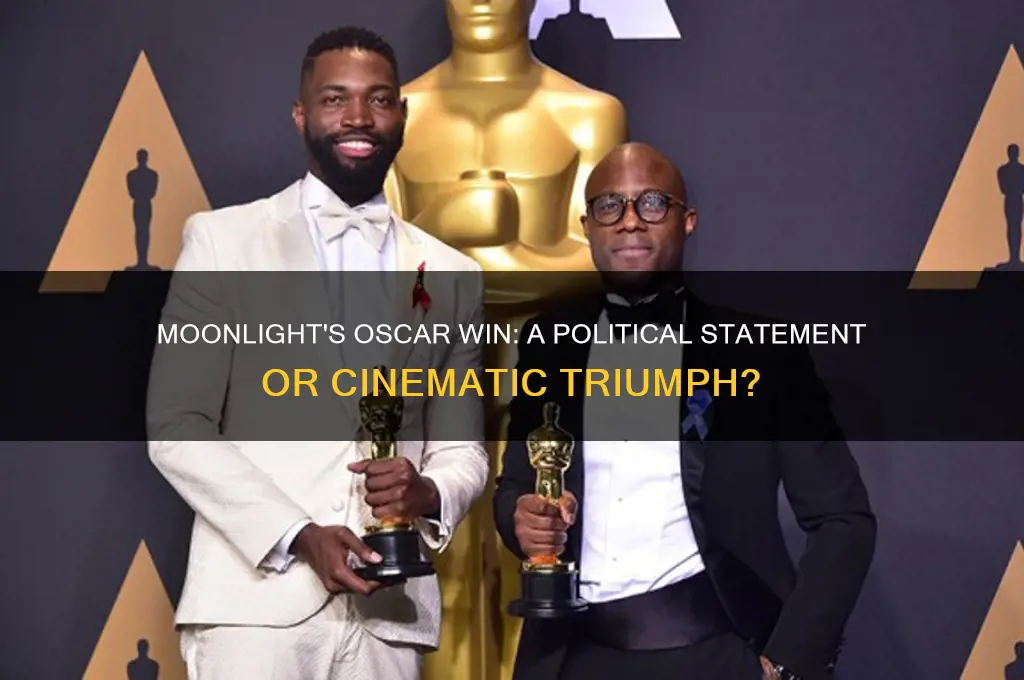 was oscar for moonlight political