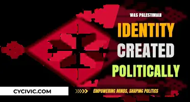 Was Palestinian Identity Politically Crafted? Unraveling Historical and Cultural Narratives