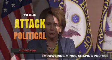 Was Pelosi Attack Political? Unraveling the Motives Behind the Assault