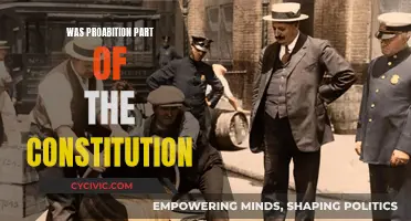 The Prohibition Party: A Constitutional Amendment?