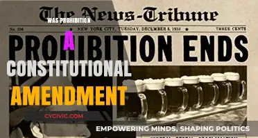 Prohibition: A Constitutional Amendment?