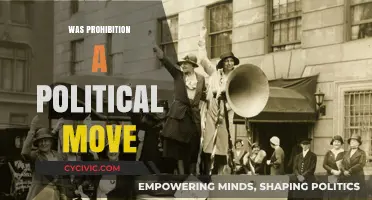 Prohibition's Political Agenda: A Strategic Move or Moral Crusade?