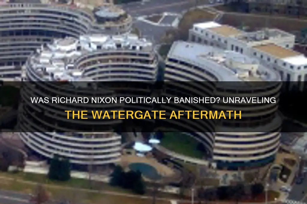 was richard nizon politically banished