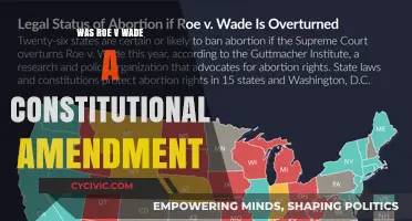 Roe v Wade: A Constitutional Amendment?