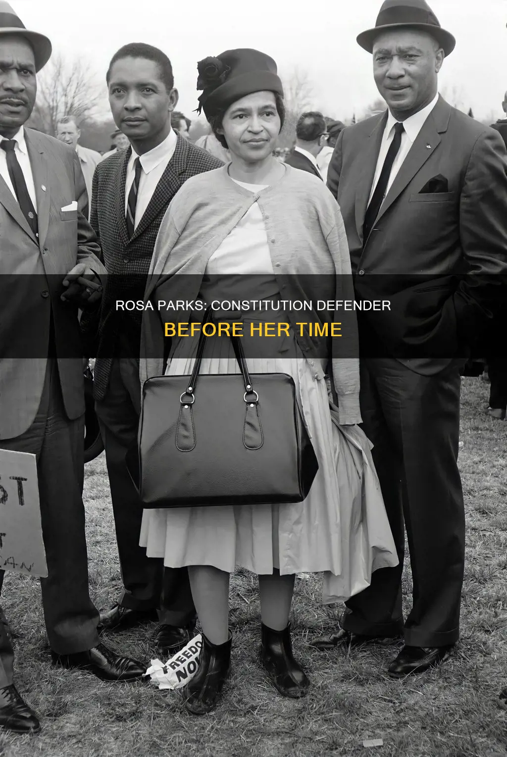 was rosa parks the first to stand up for constitution