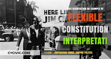 Segregation: Flexibility or Constitution Interpretation?