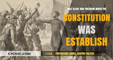 The Constitution: Freedom and Slavery's Paradox