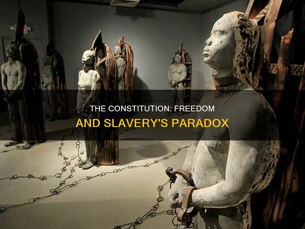 was slave and freedom when the constitution was establish