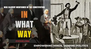 Slavery's Dark Legacy in the US Constitution