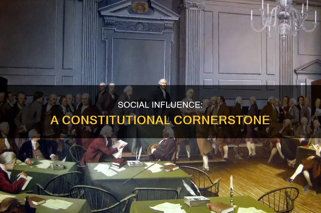 was social a big aspect in the constitution