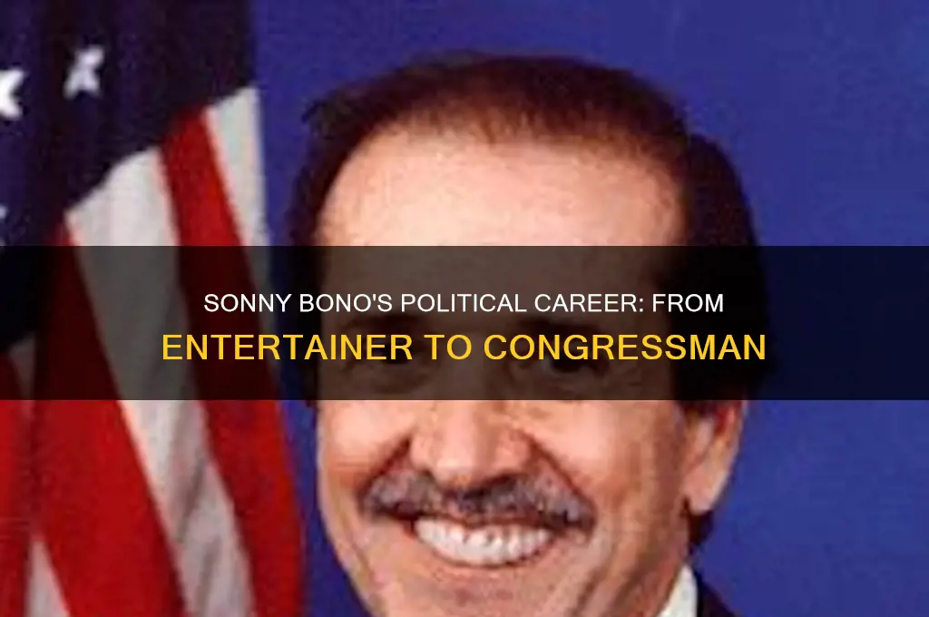 was sonny bono in politics