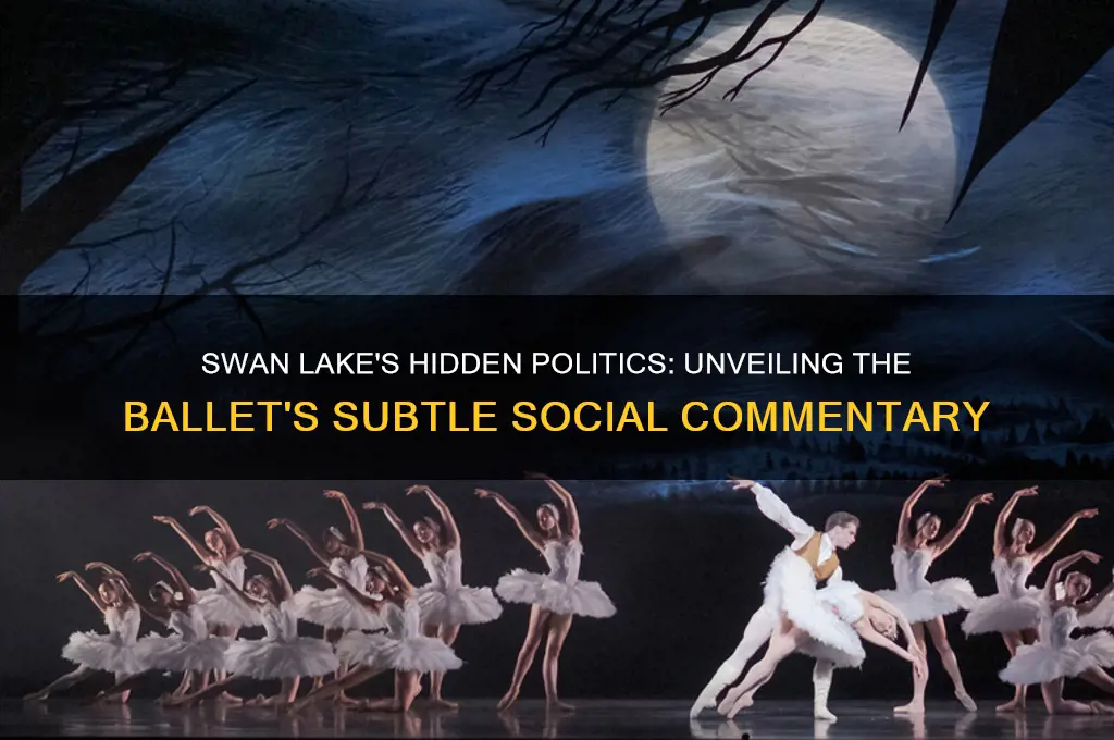 was swan lake political
