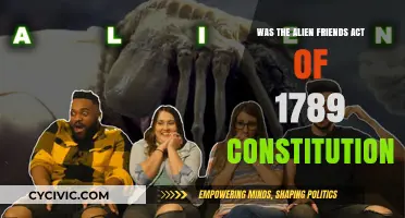 Alien Friends Act: Was It Constitutional?