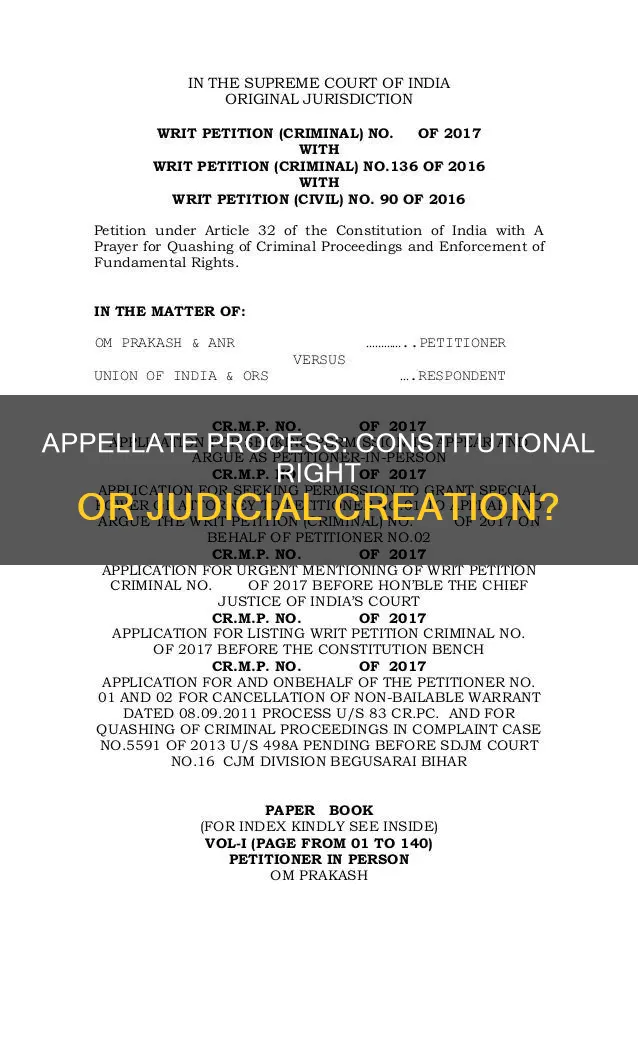 was the appellate process granted by the constitution