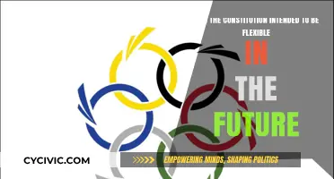 The Constitution: A Flexible Foundation for the Future?