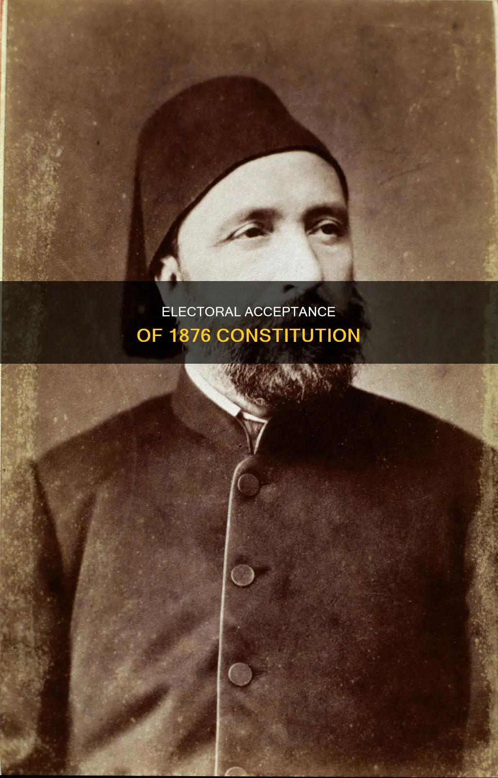 was the constitution of 1876 accepted by the electoral