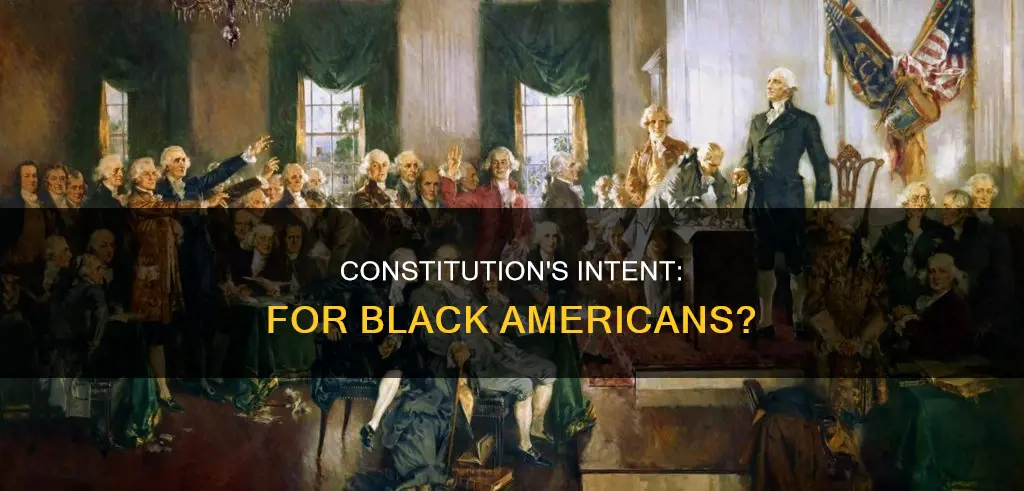 was the constitution written for black people