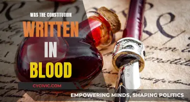 Blood-Soaked Constitution: America's Founding Document