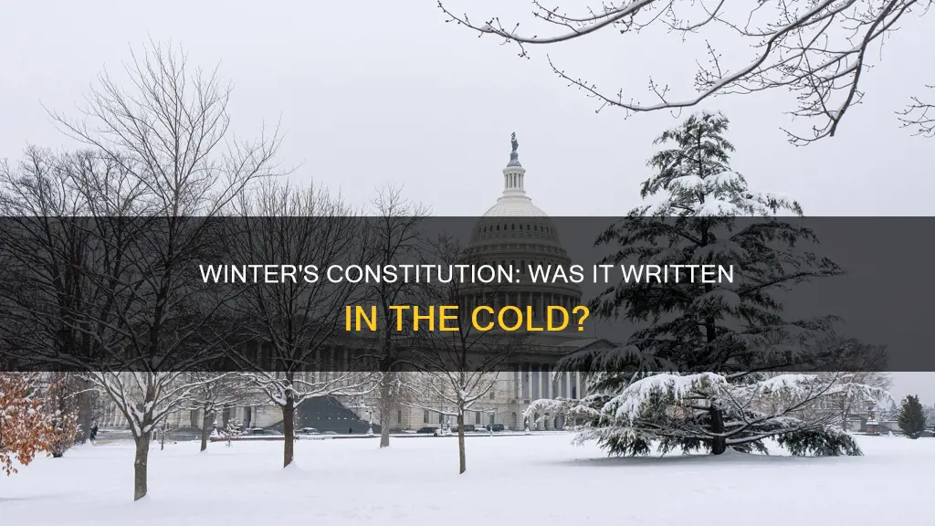 was the constitution written in winter