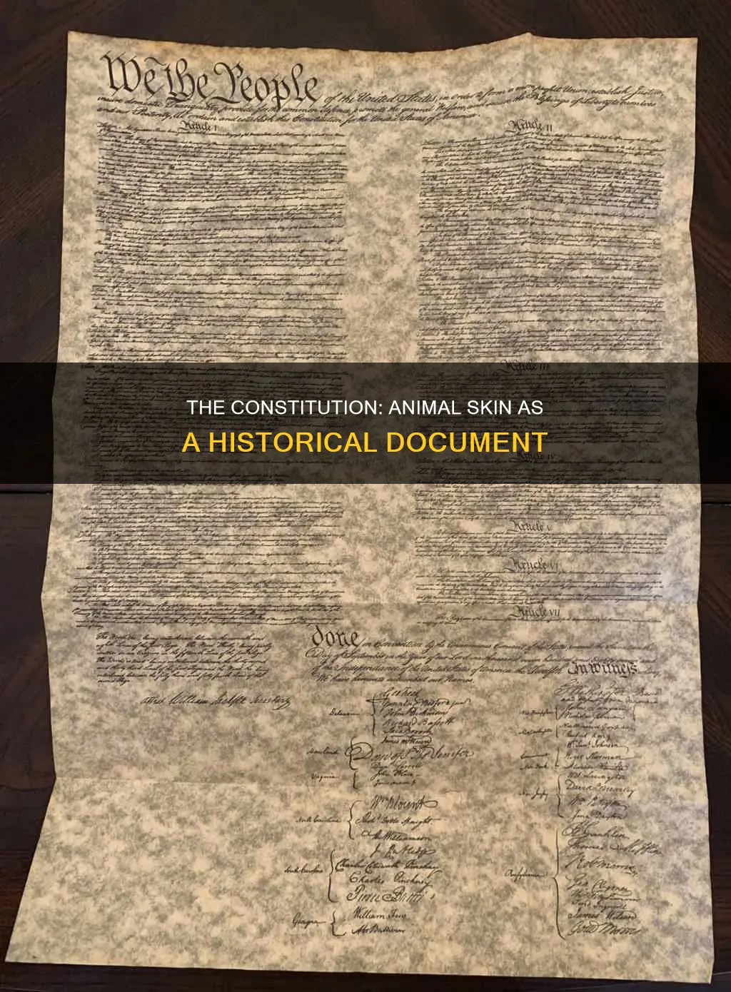 was the constitution written on animal skin
