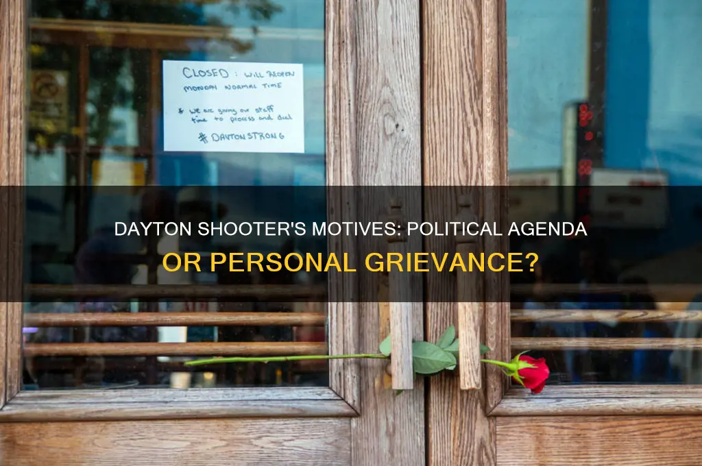 was the dayton shooter political