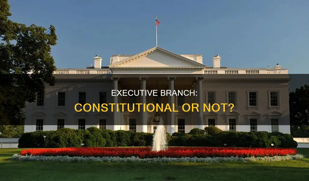 was the executive branch part of the constitution