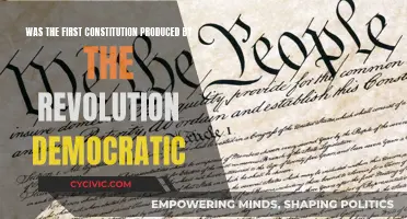 Revolution's First Constitution: Truly Democratic?