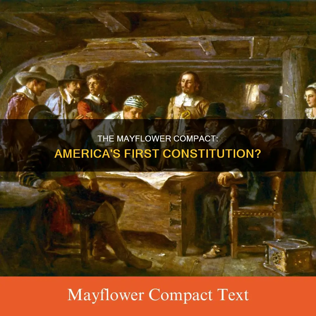 was the mayflower compact the first american constitution