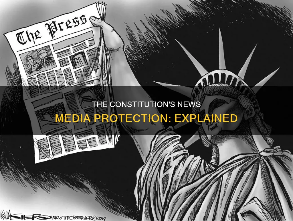 was the news companies protected by the constitution
