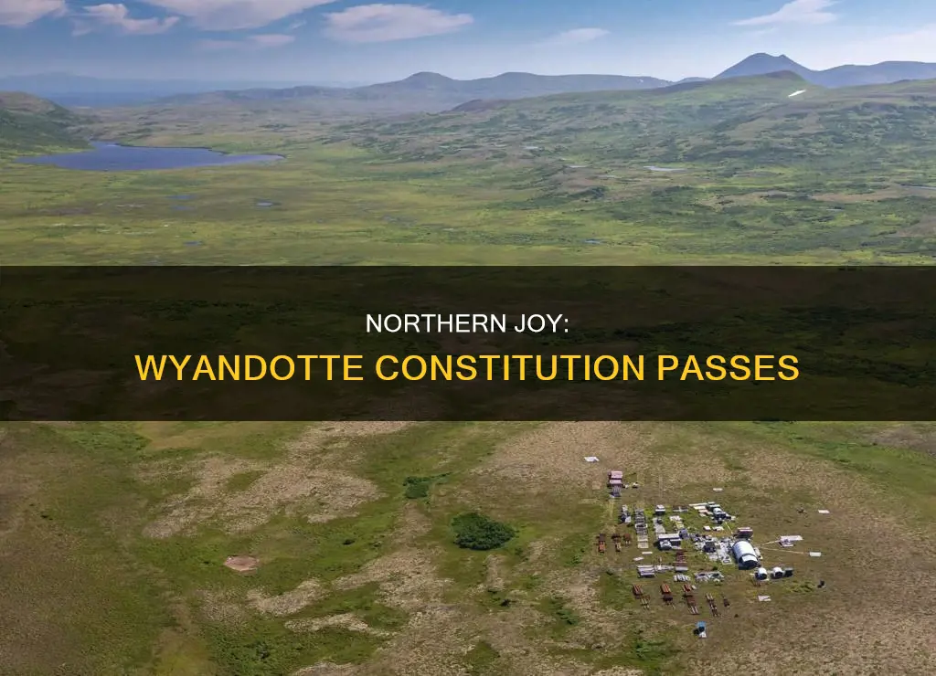 was the north happy about wyandotte constitution passes