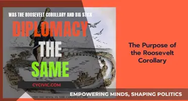 Roosevelt's Corollary and Big Stick: Different or Same?