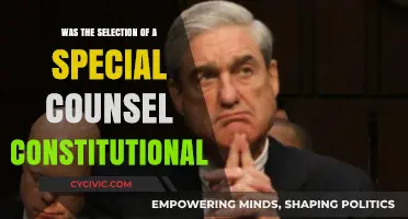 Special Counsel Selection: Constitutional or Not?