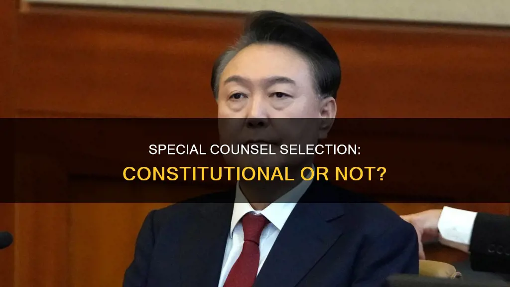 was the selection of a special counsel constitutional
