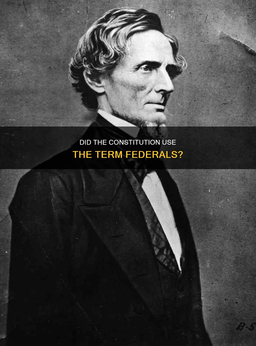 was the term federals used at the constitution