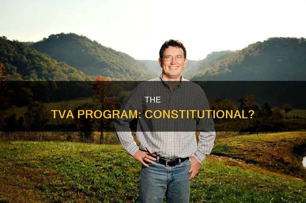 was the tva program considered constitution and if so how
