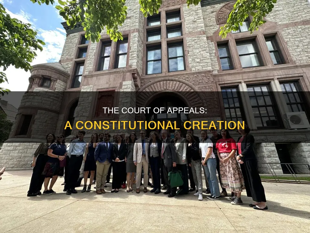 was the us court of appeal established by the constitution