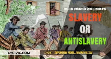 Wyandotte Constitution: Pro-Slavery or Anti-Slavery?
