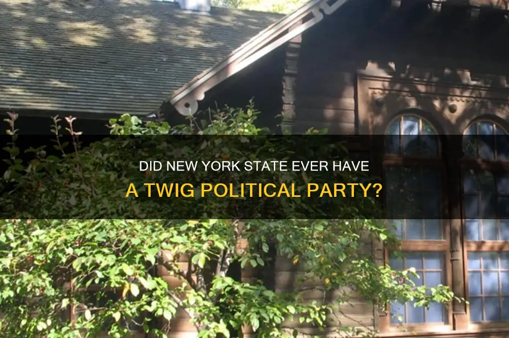was there a twig political party in new york ddtate