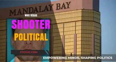Was the Vegas Shooter Politically Motivated? Uncovering the Truth Behind the Tragedy