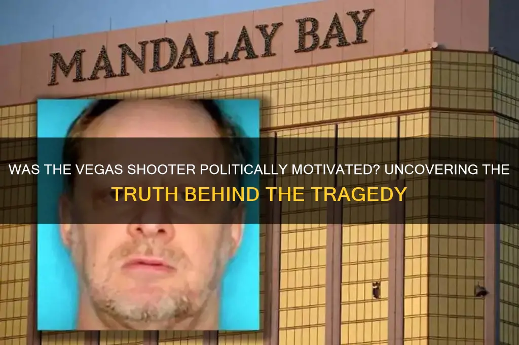was vegas shooter political