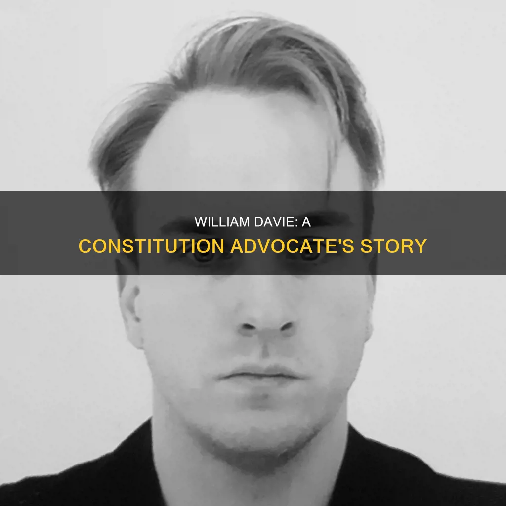 was william davie in favor of the constitution