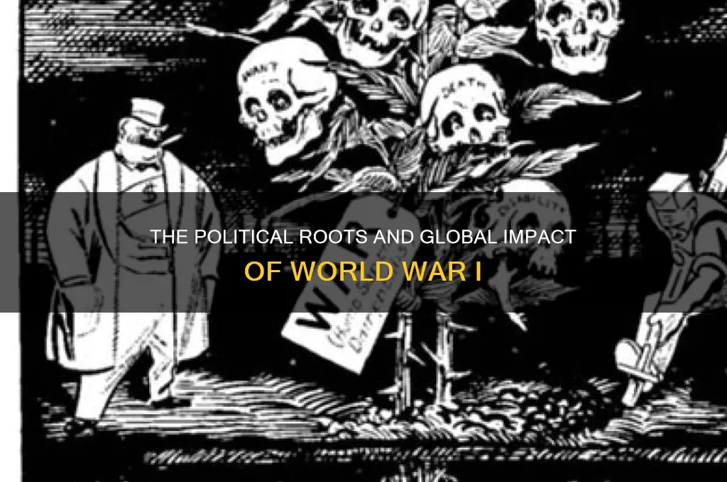was world war 1 political