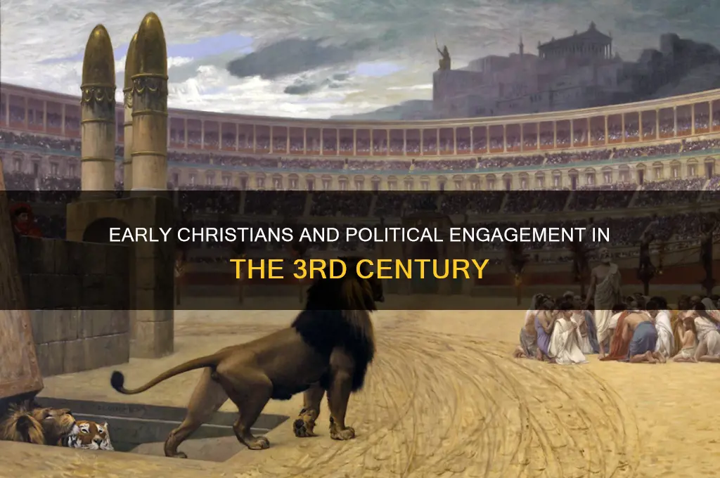 were 3rd century christians political